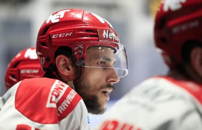 Grenoble’s Brûleurs de Loups lose to Aalborg in the Continental Cup