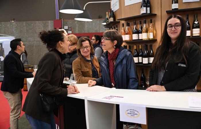 Burgundy wines: Welcome to the kingdom of pleasure tastings in Beaune