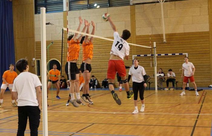 University Sport: 3 gold medals in Basketball, Football and Handball for Le Creusot students