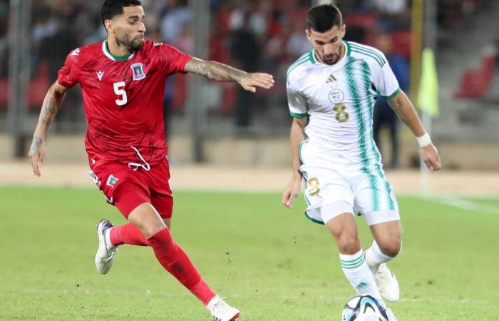 CAN 2025 qualifiers. Tunisia validates its qualification after its victory against Madagascar