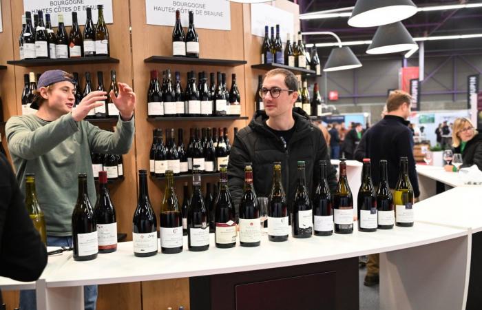 Burgundy wines: Welcome to the kingdom of pleasure tastings in Beaune