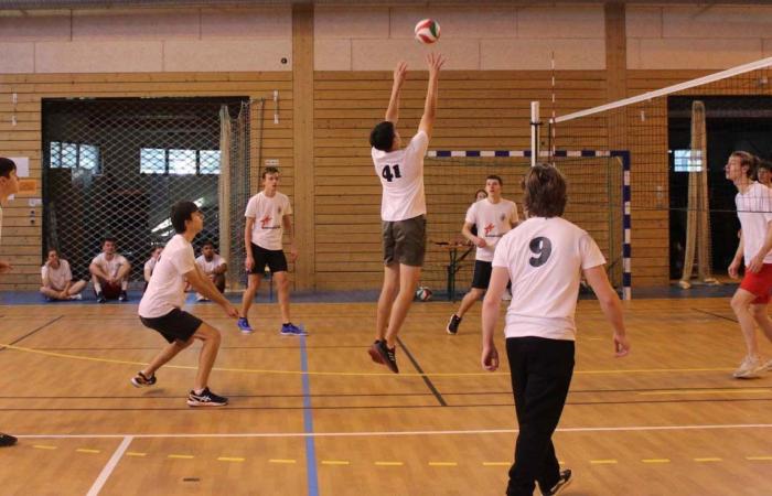 University Sport: 3 gold medals in Basketball, Football and Handball for Le Creusot students