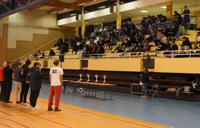 University Sport: 3 gold medals in Basketball, Football and Handball for Le Creusot students