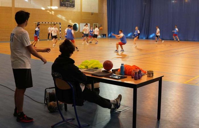 University Sport: 3 gold medals in Basketball, Football and Handball for Le Creusot students