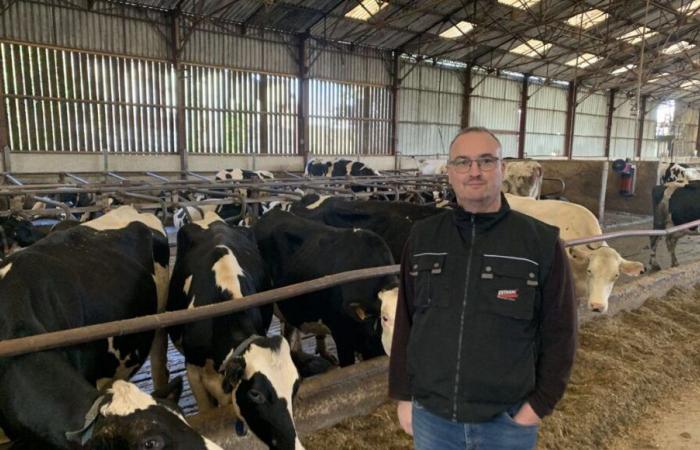 Agricultural crisis: “Completely fed up”, one year later, the anger of a Marne dairy farmer is intact