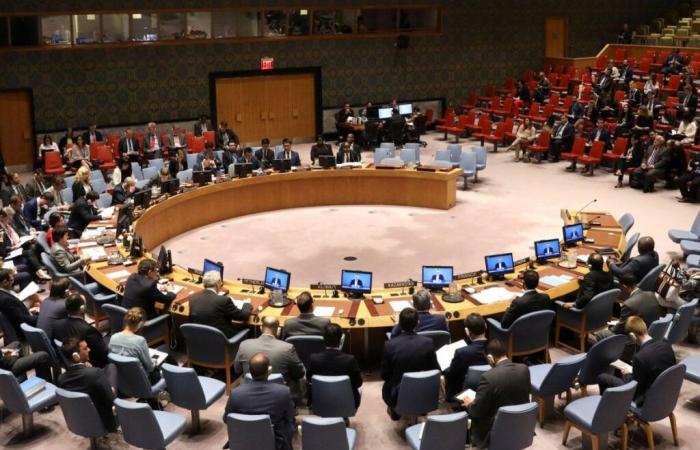 Central Africa: the UN Security Council takes a…