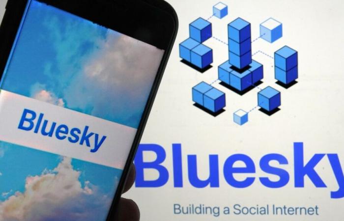 What is Bluesky, the social platform welcoming fleeing X users?