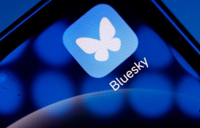 Alternative to X | Bluesky social network gains one million users in one day