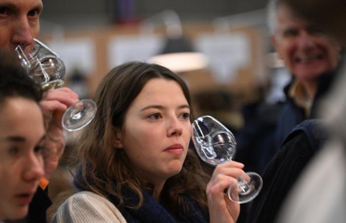 Burgundy wines: Welcome to the kingdom of pleasure tastings in Beaune