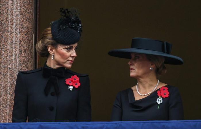 Kate Middleton caught having a naughty conversation with Sophie of Wessex on the Whitehall balcony?