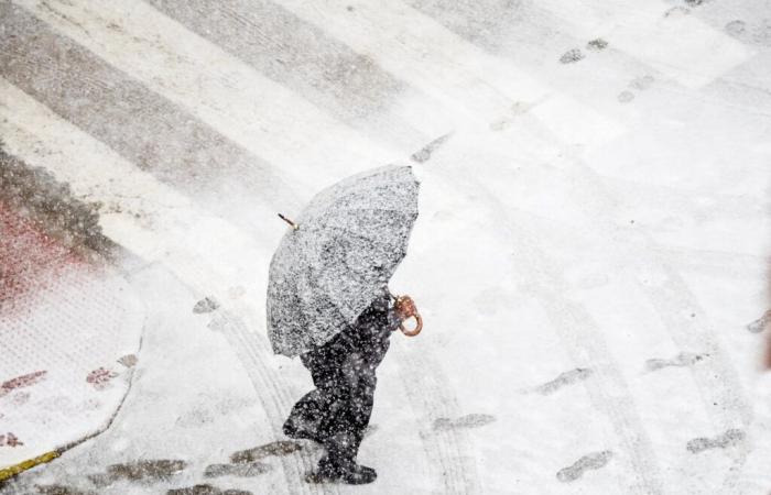 Weather: several regions of France could experience snowfall as early as next week