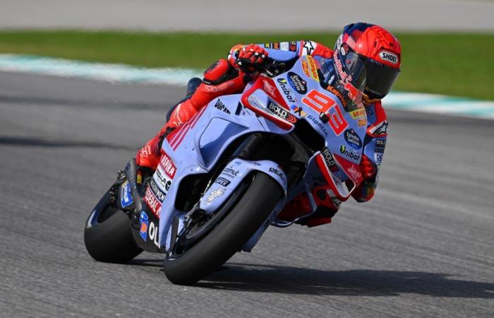 MotoGP, Andrea Dovizioso: “that Marc Marquez challenges Pecco Bagnaia, without a doubt. but I think that Pecco will also put Marc in crisis”