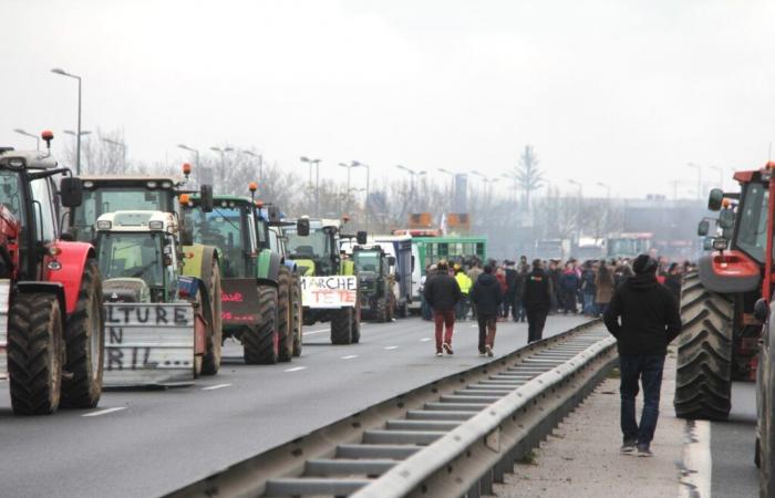 Farmers demonstrate in dispersed order in Tarn, but the actions promise to be spectacular