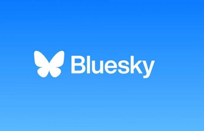 X’s rival Bluesky gains one million users in 24 hours