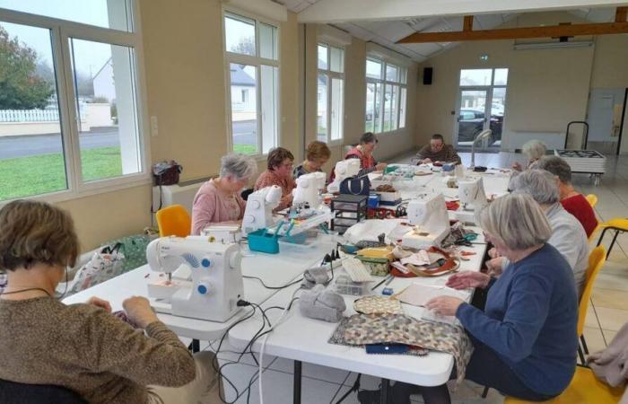 Bellevigne-les-Châteaux. An embroidery workshop is born in the town