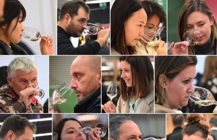 Burgundy wines: Welcome to the kingdom of pleasure tastings in Beaune