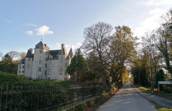 A major project underway around one of the most beautiful castles in Cotentin: here's why