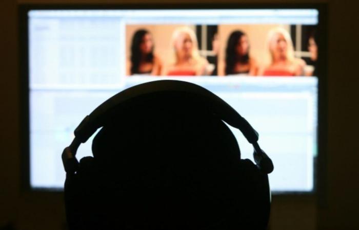 Four pornographic sites begin to be blocked in France