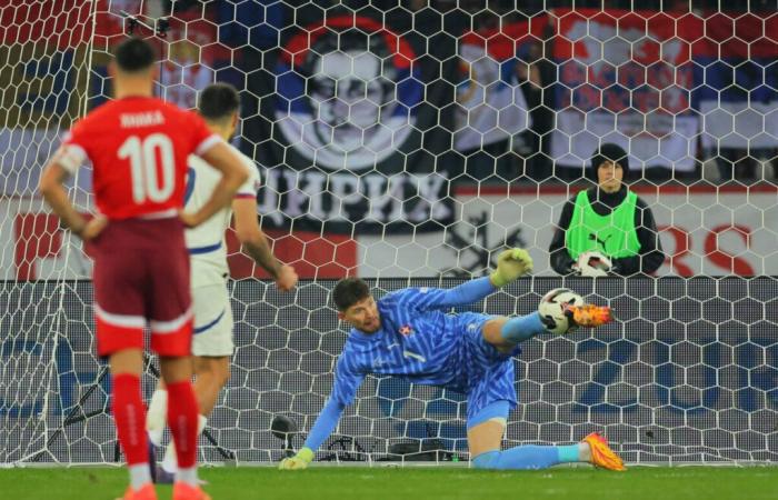 LIVE: Mitrović misses the penalty, Petrović saves Serbia