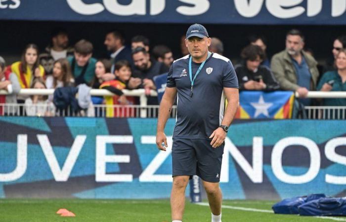 Top 14 – Jean-Noël Spitzer (Vannes) on his extension: “We are not yet at the end of the adventure”