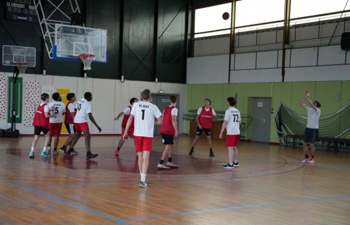 University Sport: 3 gold medals in Basketball, Football and Handball for Le Creusot students