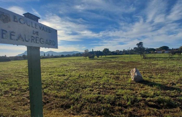 Project of some 400 housing units on 11 hectares planned for Le Muy: residents of the Draconian agglomeration can give their opinion