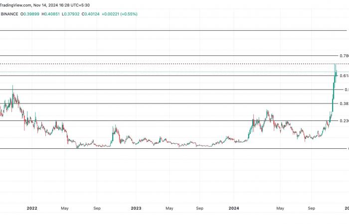 Dogecoin is facing a slowdown: fall expected?