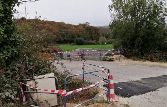 A major project underway around one of the most beautiful castles in Cotentin: here's why