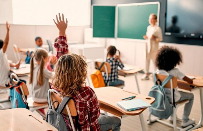 AI is coming to schools, the FWB offers teachers training to better master this new technology