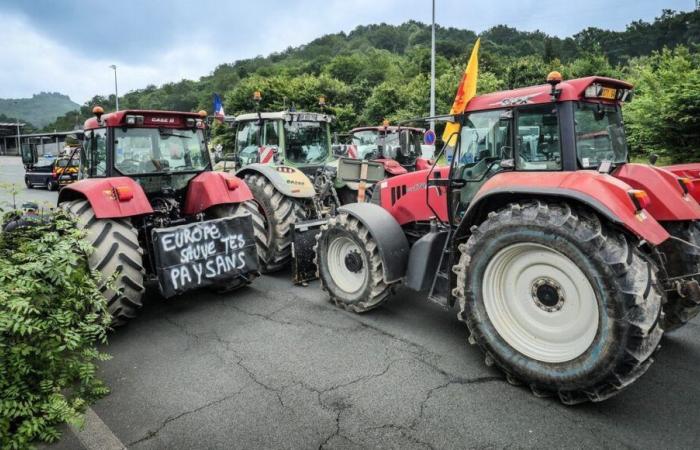 Agricultural crisis: shared testimonies from farmers and beekeepers from the North