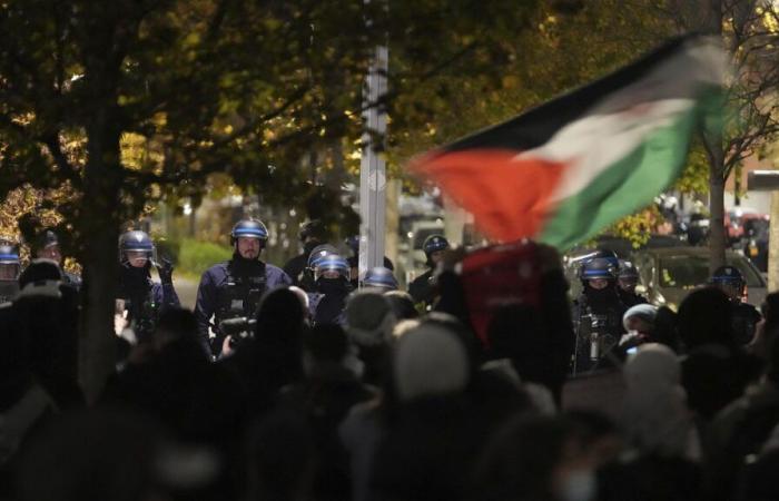 Peaceful pro-Palestinian demonstration on the sidelines of the France-Israel match