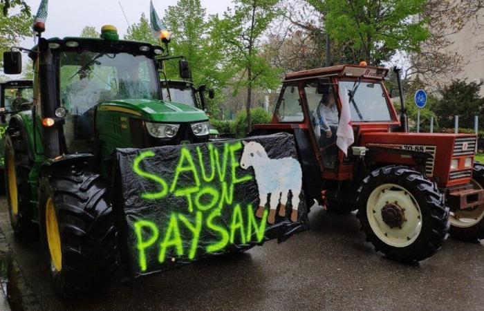 Mobilization of farmers: what disruptions in Bas-Rhin this Monday?