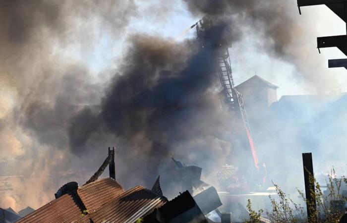 “A part of the local economy gone up in smoke”: the Meuzac sawmill, in Haute-Vienne, destroyed in a fire