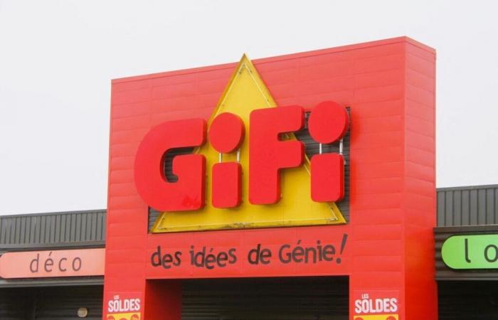 The Gifi brand, flagship of the economy in Lot-et-Garonne, about to be put up for sale?