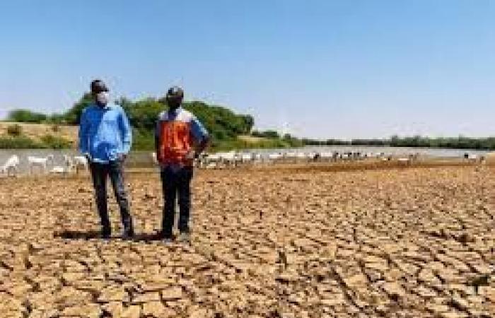 Africa/Climate: 5% loss of GDP due to disruptions | APAnews