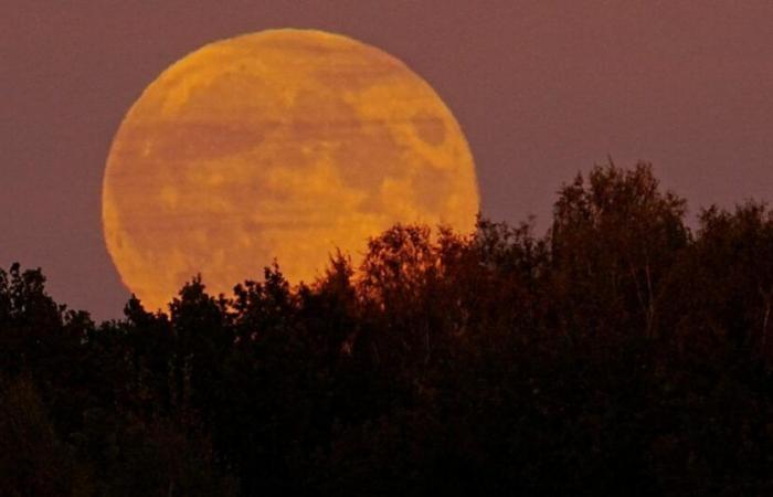 When to admire the super “beaver” moon this Friday evening, and why does it have this name?