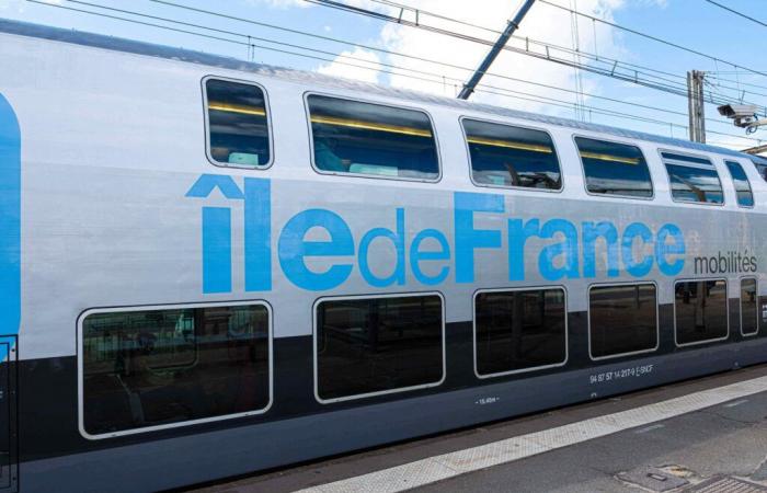 Nanterre: a 19-year-old young man is hit by an RER, an RATP agent is in police custody