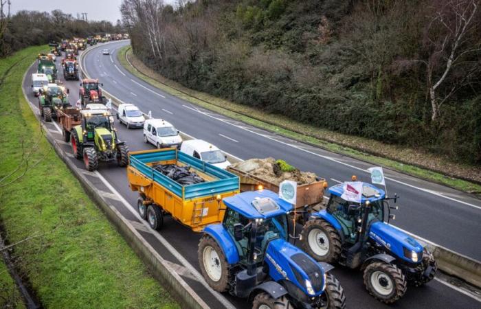 a giant barbecue and snail operations with 80 farmers' tractors