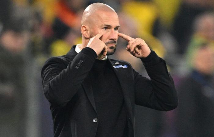 Future opponent of LOSC in the Champions League, SK Sturm Graz loses its coach for €2.5 million