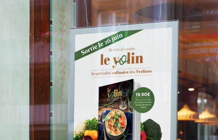 Recipes from the 259 communes of Yvelines in the Yolin book