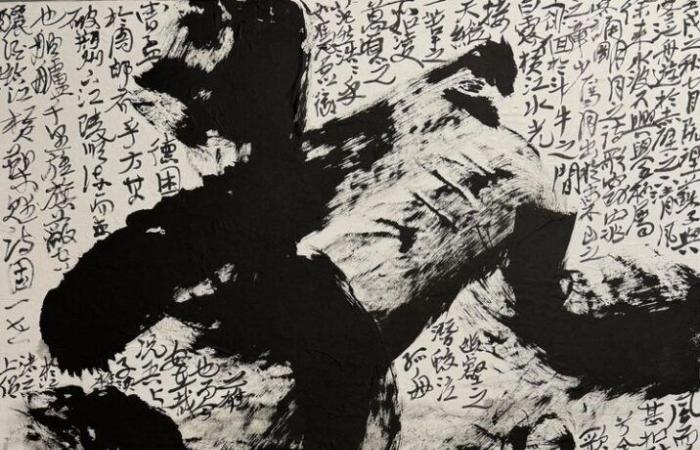 Geneva: Chinese calligraphy on display at the Acacias