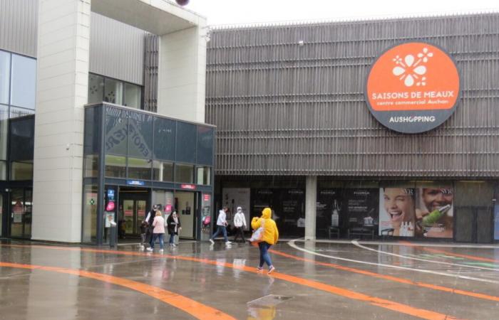 In this shopping center in Seine-et-Marne, several new stores are opening