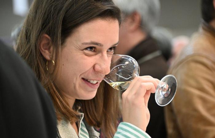 Burgundy wines: Welcome to the kingdom of pleasure tastings in Beaune