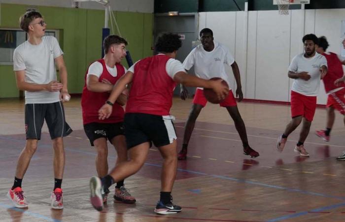 University Sport: 3 gold medals in Basketball, Football and Handball for Le Creusot students