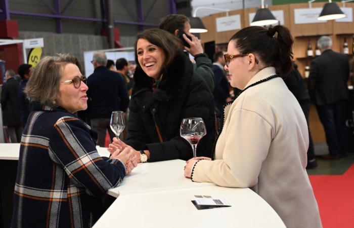 Burgundy wines: Welcome to the kingdom of pleasure tastings in Beaune