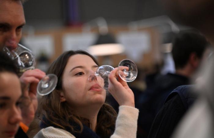 Burgundy wines: Welcome to the kingdom of pleasure tastings in Beaune