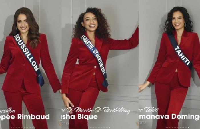 The official portraits of the Miss France candidates revealed