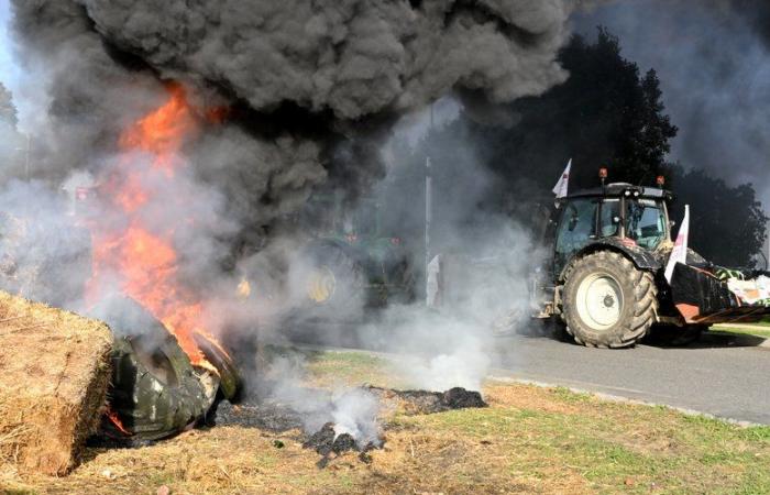 Anger of farmers: “Fires in strategic places but far from homes”, announces the FDSEA 31