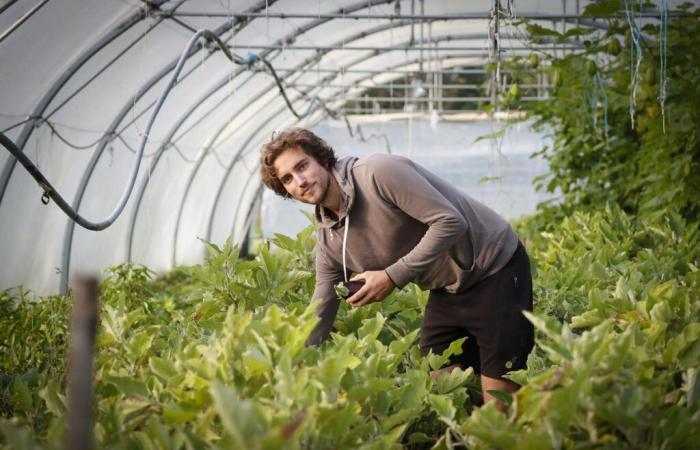 “Of course, the farm must be viable, but at my own pace”, portrait of a new generation farmer