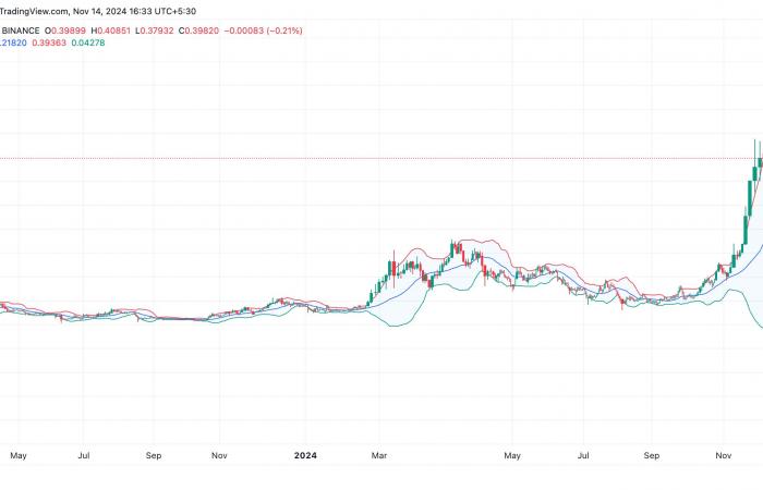 Dogecoin is facing a slowdown: fall expected?